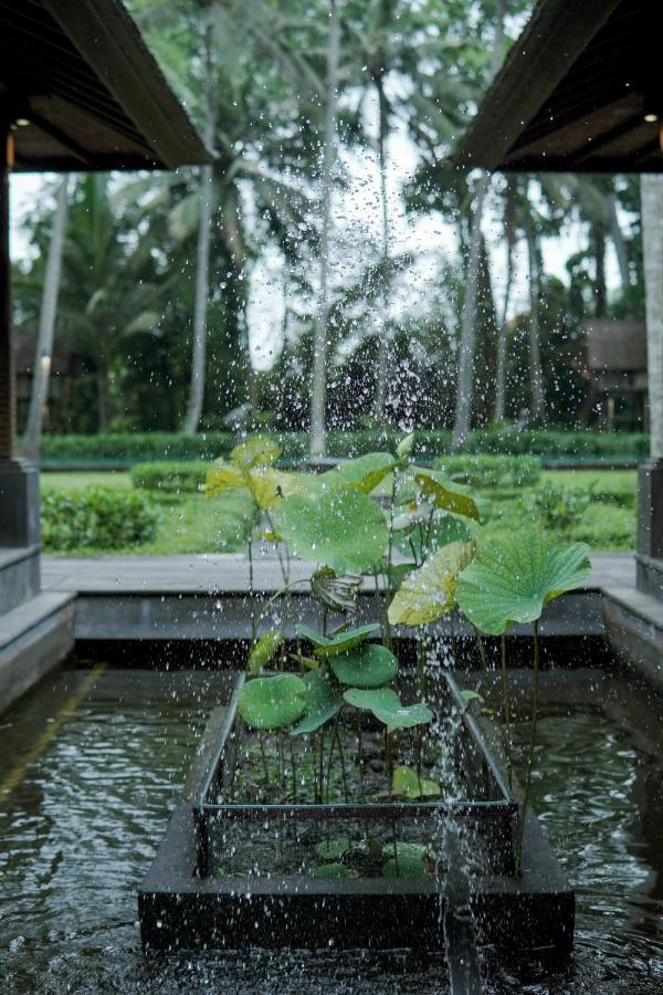 Villa Puri Tupai Ubud Exterior foto